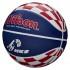 Wilson Ballon Basketball Avenger