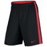 Nike Dry Academy Short Pants