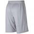 Nike HB Verbiage Short Pants