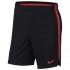 Nike Dry Squad 18 Shorts