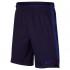 Nike Dry Squad 18 Short Pants