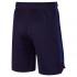 Nike Dry Squad 18 Short Pants