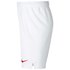 Nike AS Monaco Domicile/Extérieur Breathe Stadium 18/19 Junior