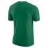 Nike Boston Celtics Dry Logo ST Short Sleeve T-Shirt
