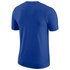Nike Detroit Pistons Dry Logo ST Short Sleeve T-Shirt