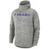 Nike Los Angles Lakers Spotlight Hooded Pullover