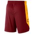 Nike Cleveland Cavaliers Practice Shorts