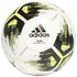 adidas Ballon Football Team Training Pro