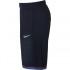 Nike Dri Fit Classic Short Pants
