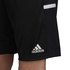 adidas Team 19 3P Shorts