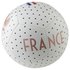 Nike Balón Fútbol Francia Pitch
