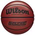 Wilson Ballon Basketball Showcase Comp