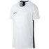 Nike Camiseta de manga curta Dri-Fit Academy