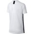 Nike Dri-Fit Academy short sleeve T-shirt