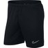 Nike Dri Fit Academy Короткие штаны