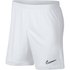 Nike Dri Fit Academy Krótkie Spodnie