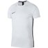 Nike Dri Fit Academy T-shirt med korte ærmer