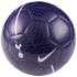 Nike Tottenham Hotspur FC Sports Football Ball