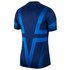 Nike Camiseta Paris Saint Germain Dri Fit Pre Partido CL 19/20