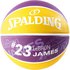 Spalding NBA LeBron James Basketball Ball