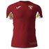 Joma Torino Training 19/20 T-Shirt