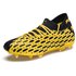 Puma Chaussures Football Future 5.2 Netfit FG/AG