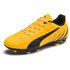 Puma One 20.4 FG/AG Football Boots