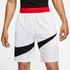 Nike Dri Fit HBR 2.0 Shorts