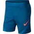 Nike Dri Fit Strike NG Shorts