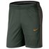 Nike Pantalones Cortos Dri Fit Essential