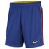 Nike Pantalons Curts FC Barcelona Breathe Stadium 20/21
