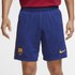 Nike Shorts Byxor FC Barcelona Breathe Stadium 20/21