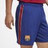 Nike Pantalons Curts FC Barcelona Breathe Stadium 20/21
