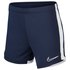 Nike Dri Fit Academy 19 Shorts