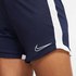 Nike Dri Fit Academy 19 Shorts