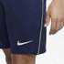 Nike Tottenham Hotspur FC Breathe Stadium 20/21 Shorts