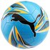 Puma Ballon Football Big Cat