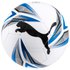 Puma Ballon Football ftblPLAY Big Cat