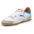 Puma Ibero Indoor Football Shoes