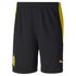 Puma Accueil Borussia Dortmund 20/21 Shorts Pantalons