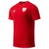 New Balance Athletic Club Bilbao Pre Spiel 20/21 T-Shirt