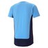 Puma T-shirt Manchester City FC Evostripe 20/21