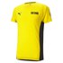 Puma 티셔츠 Borussia Dortmund Evostripe 20/21