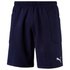 Puma Liga Casuals Shorts