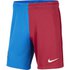Nike A Casa/Lluny FC Barcelona Stadium 21/22 Pantalons Curts
