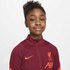 Nike Plus Doux Liverpool FC Strike 21/22 Junior
