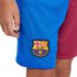Nike FC Barcelona Stadium Home/Away 21/22 Junior Shorts