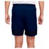 Nike Dri Fit Academy Woven Shorts
