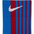 Nike Calcetines FC Barcelona 21/22