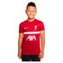 Nike T-paita Liverpool FC Academy Pro Junior